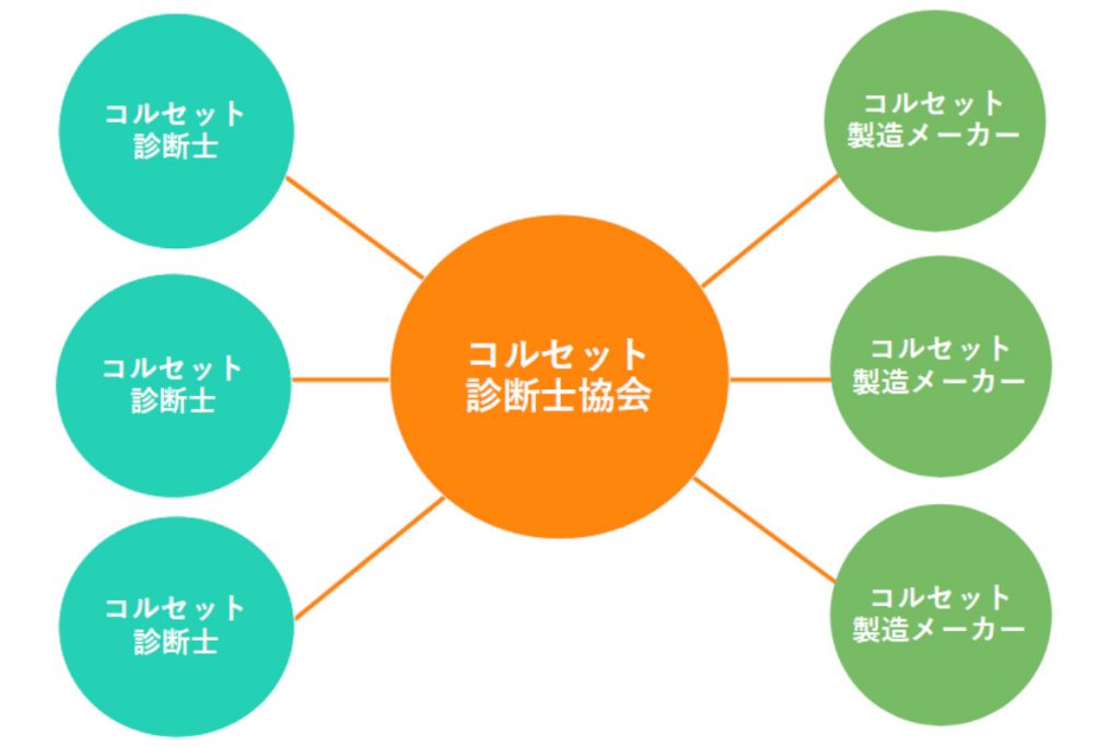 コルセット診断士協会の果たす役割を表す図